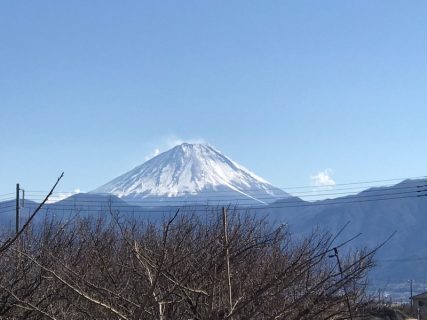 幸せな立春