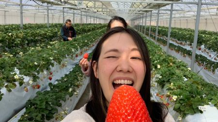 大満足のいちご狩り🍓