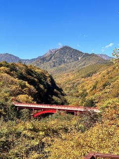 紅葉🍁始まってます