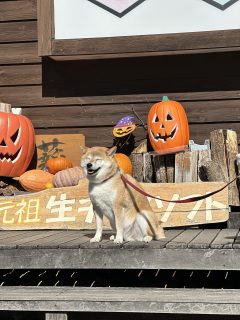 それぞれのハッピーハロウィン🎃