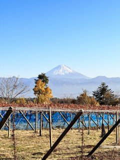 ポカポカ陽気